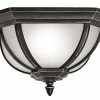 Best Sale ⭐ Kichler Lighting Salisbury™ 7-1/2 in. 2-Light Outdoor Flushmount Fixture in Rubbed Bronze 🥰 -Kichler Lighting shop Query 1098