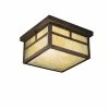 Hot Sale ✨ Kichler Lighting Alameda 6-1/4 in. 75W 2-Light Medium E-26 Flush Mount Ceiling Light in Canyon View 😀 -Kichler Lighting shop Query 1357