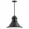 Top 10 🥰 Kichler Lighting Northland™ 150W 1-Light Medium E-26 Incandescent Outdoor Pendant in Black 🌟 -Kichler Lighting shop Query 1647